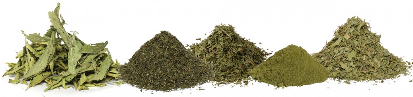 Stevia Blätter – Wissenswertes über Stevia