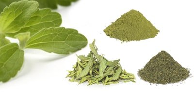 Stevia - Blätter