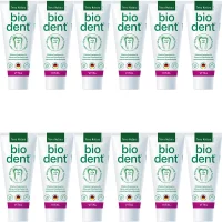 Biodent Vital Fluoride-Free Toothpaste | Terra Natura Toothpaste without Fluoride | 12 x 75ml