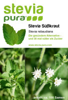 Stevia Seeds | Stevia rebaudiana | Sweet Leaf Herb | 1 x 100 Seeds
