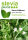 Semillas de Stevia - Planta Rebaudiana - Hoja de Miel - Hierba Dulce