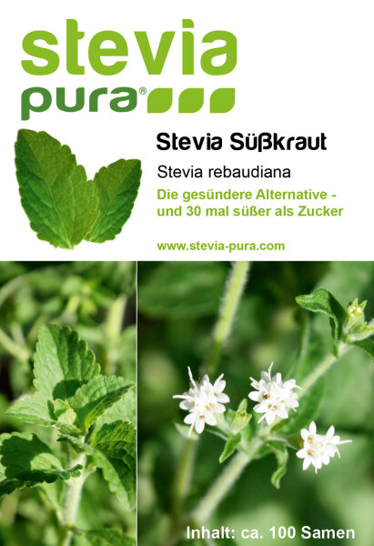 Stevia Seeds | Stevia rebaudiana | Honey Leaf - Sweet Herb | 10 x 100 Seeds